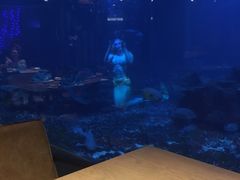 -海棠湾洲际-涛·海底餐厅·美人鱼·自助餐·海底隧道
