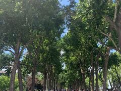 -人民防洪胜利纪念塔