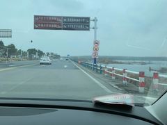 -合肥滨湖国家森林公园