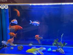 -东辰望海鱼码头·海鲜餐厅