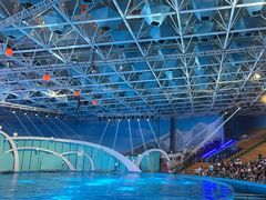 -海合安青岛极地海洋公园