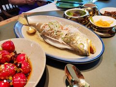 花雕蒸大黄鱼-晟永興烤鸭店(五道口店)