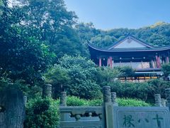 -十八棵（老龙井）御茶园(老龙井店)