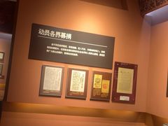-共和国摇篮旅游区-红井景区
