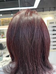 -EMILY 艾米莉 烫染沙龙