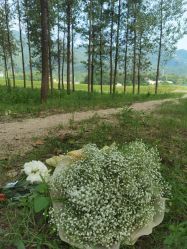 -索菲亚摄影会所