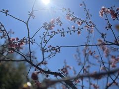 -燕郊植物园