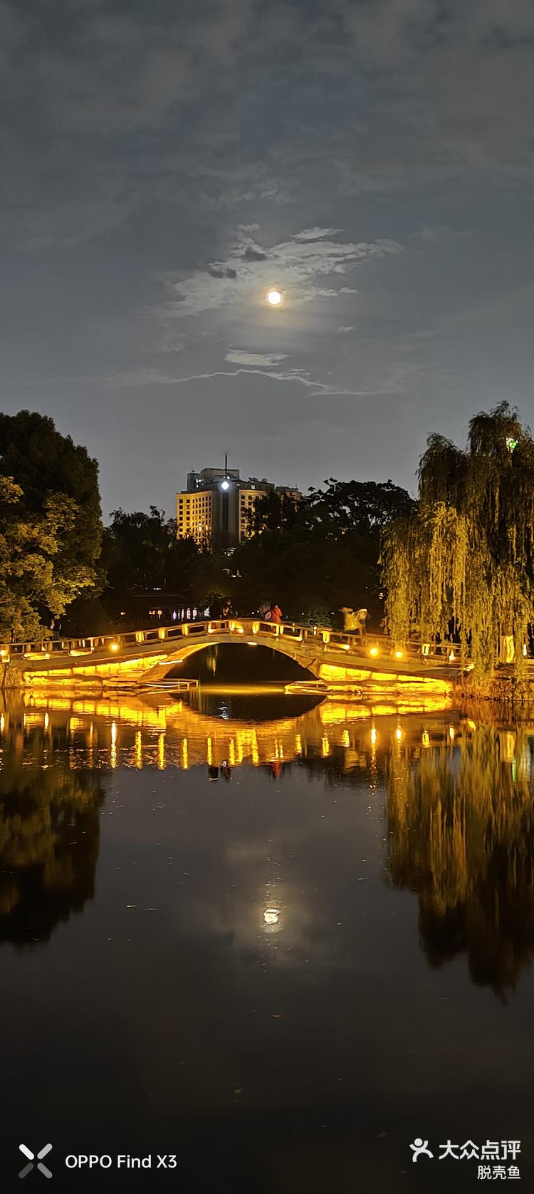 昆明翠湖夜景图片