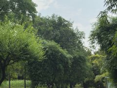 -堤角公园