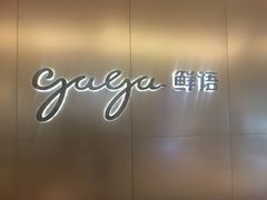 -gaga(深圳南山益田假日广场店)