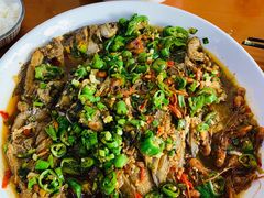 -全乐鱼馆·淳牌有机鱼直营店