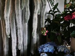 -Lamant Manor已闻花名关於蓝