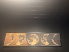 -剧狐剧本杀(徐汇1号店)