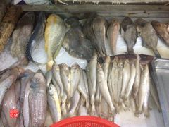舌头鱼-胶东海鲜大排档(北太平庄店)