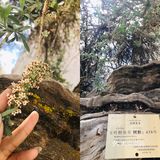 日喀则｜扎什伦布寺不可错过的圣地