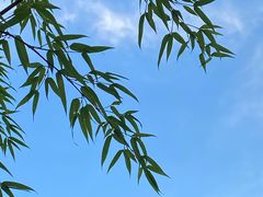 -将军关探险漂流