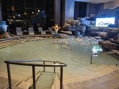 -嘉兴清池酒店温泉