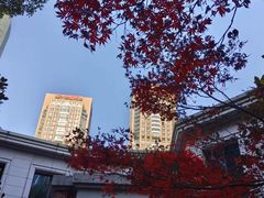 -钱江新城