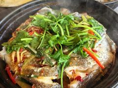 -阿龙酒煲(海宁新苑路店)