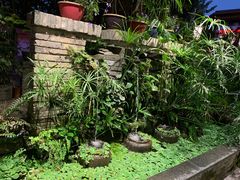 -老友王·南宁特色菜(金汇如意坊店)