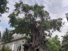 -荔湾博物馆