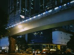 -溪岸路花鸟市场
