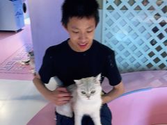 -三花喵·撸猫购宠·宠物生活馆(虹桥南丰城店)