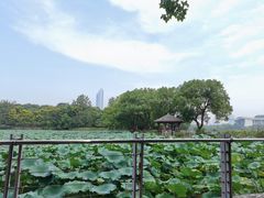 -月湖风景区