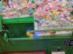 -汤姆熊欢乐世界(龙之梦店)