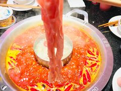-大龙燚火锅(南山大道店)