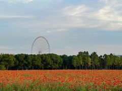 -山明水秀大饭店