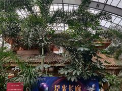 -国信南山温泉