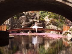 -理想国摄影(三塔店)