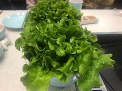 -韩时烤肉(丰科万达广场店)