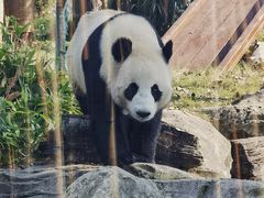 -武汉动物园