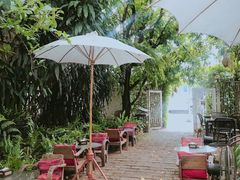 -Fern Forest Cafe