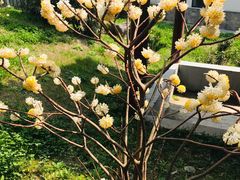 -苏州环秀晓筑养生度假村