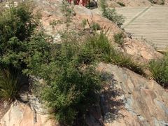 iphone_upload_pic-定都峰