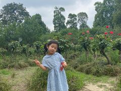 -白鹭湾湿地公园