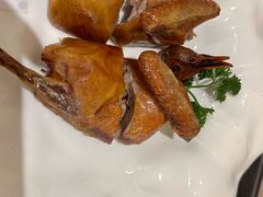 乳鸽皇-宝燕壹号(徐汇店)