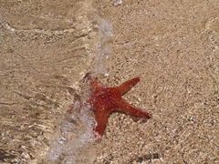 -青澳湾北回归线广场
