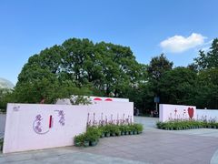 -南山植物园