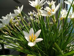 -天津东丽湖风景区