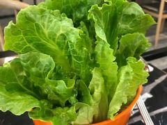 -古乐牛香·鲜牛肉牛杂火锅(五一中路店)