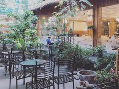 -Trung Nguyen Café Legend
