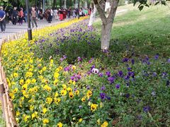 -沙河三洞古桥公园