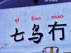 -武汉两江游览·夜游长江(汉口粤汉码头)