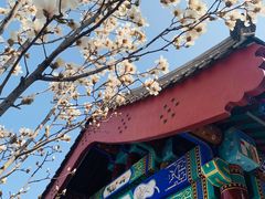 -西海子公园