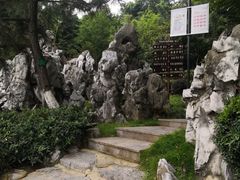 -菊花台公园