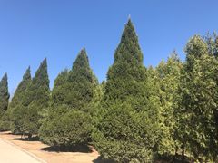 -白水寺森林公园